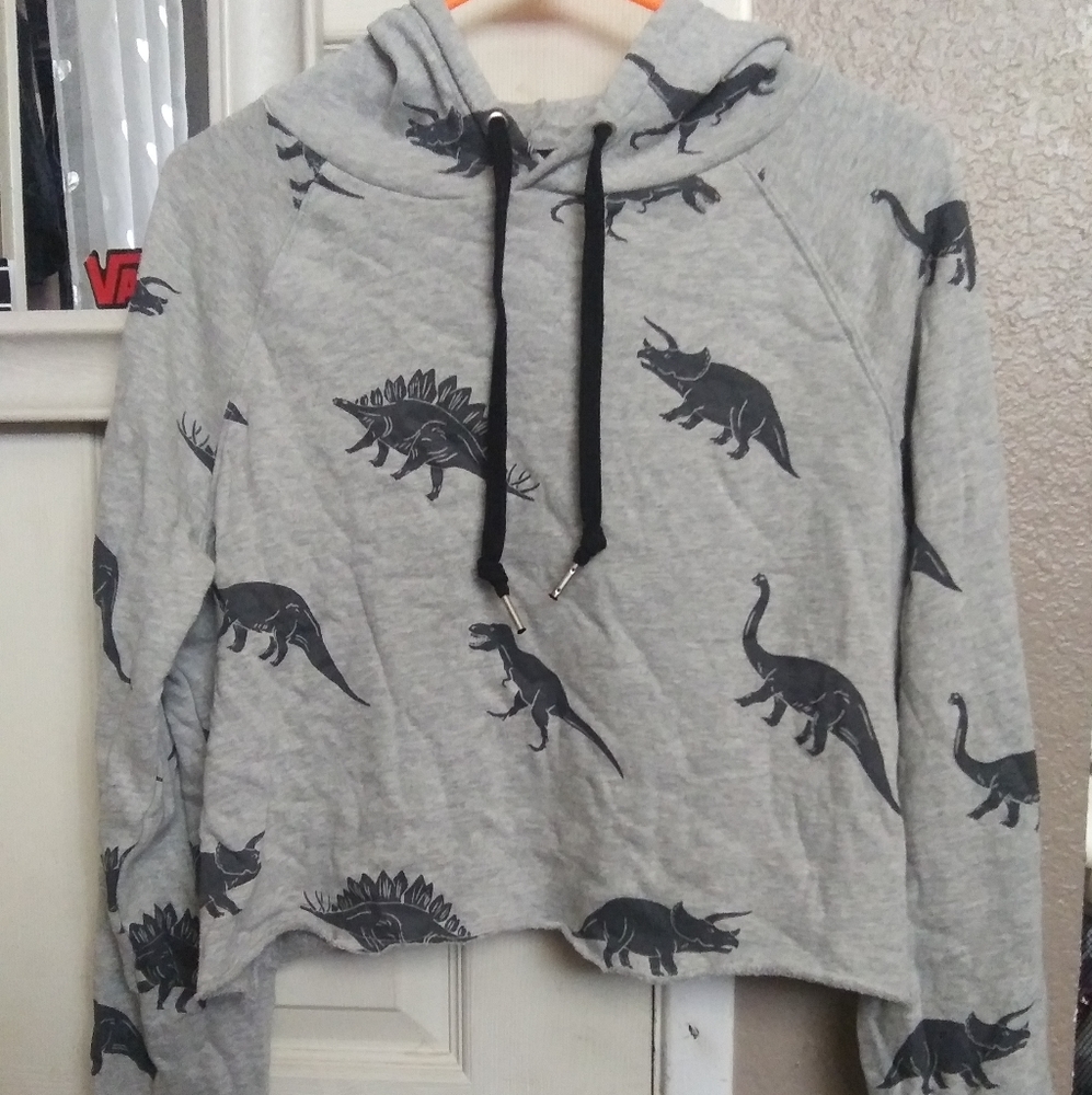 Dinosaur cropped hoodie